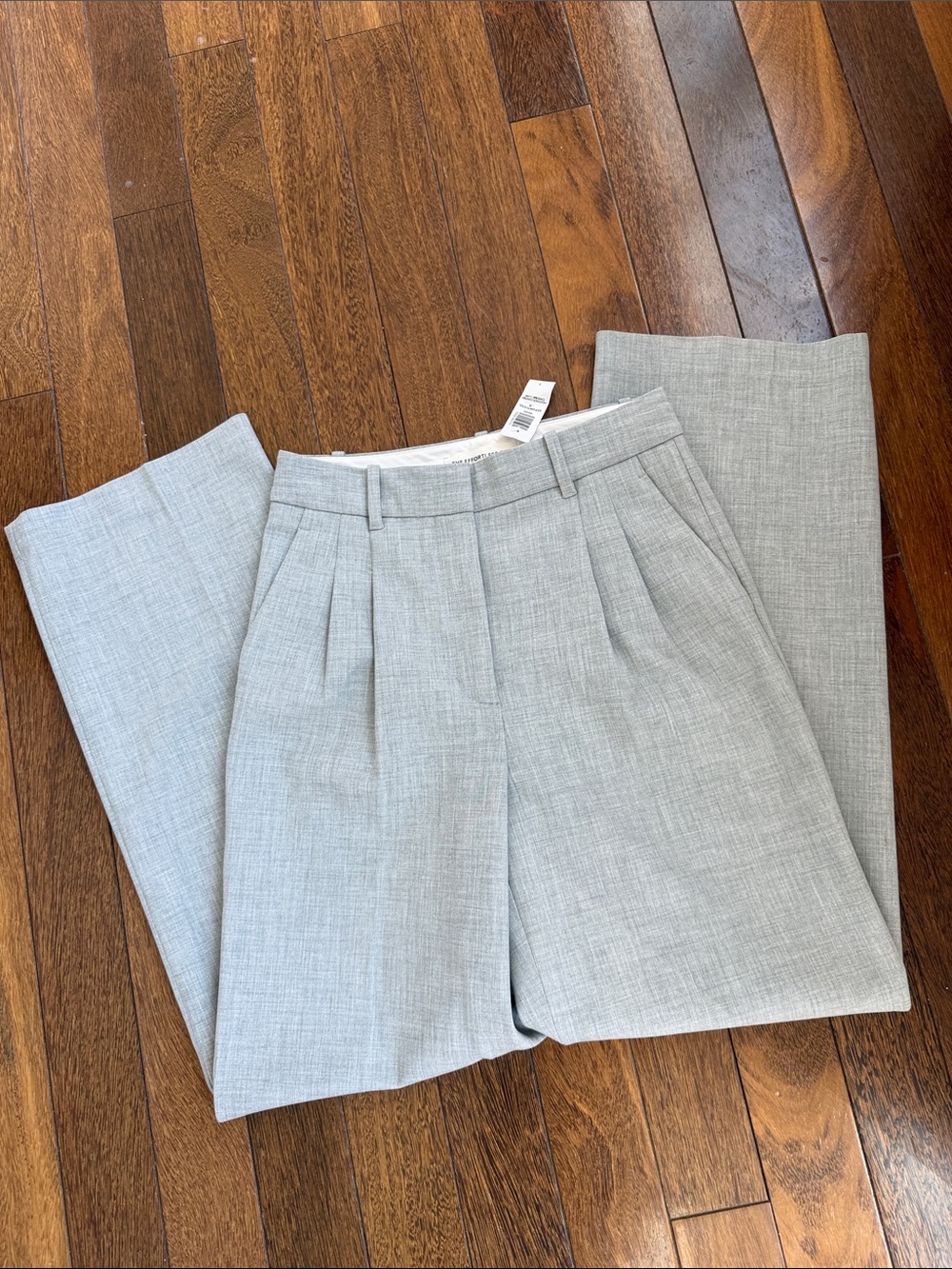 Aritzia Light Gray Pleated Trousers